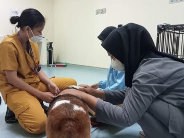 Menghadapi Keterbatasan dan Melihat Peluang: Kisah Lily Menempa Kepercayaan Diri