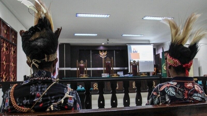 Hutan Seluas Separuh Jakarta Akan Hilang. Mahkamah Agung, Cabut Izin Sawit PT IAL!