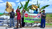 Stop Impor Beras, dukung Petani Indonesia untuk membangun Sistem Pertanian yang lebih baik.